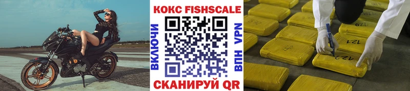 Cocaine Fish Scale  Купить  Железногорск-Илимский 